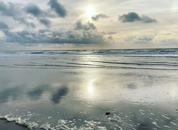 Beachy Days Near Ocean & Nyaraló Noordwijkerhout