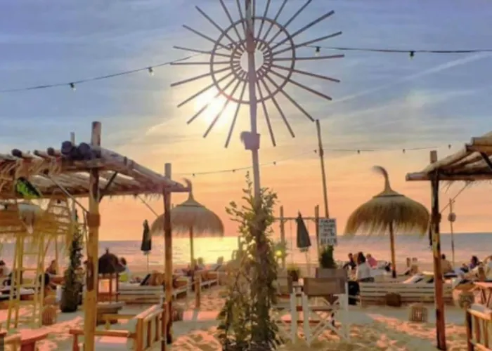 Beachy Days Near Ocean &