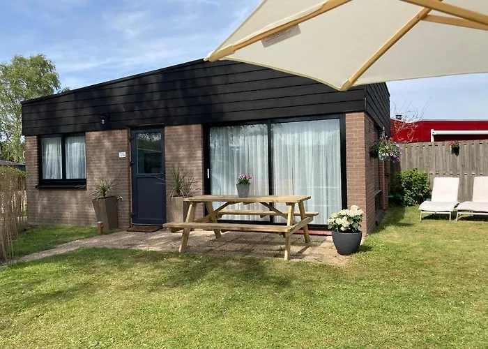 Beachy Days Near Ocean & Noordwijkerhout