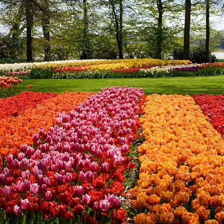 Дом отдыха Beachy Days Near Ocean & Нордвейкерхаут