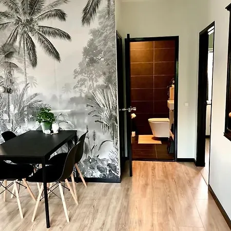 Beachy Days Near Ocean & Нордвейкерхаут