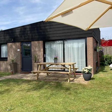 Beachy Days Near Ocean & Нордвейкерхаут