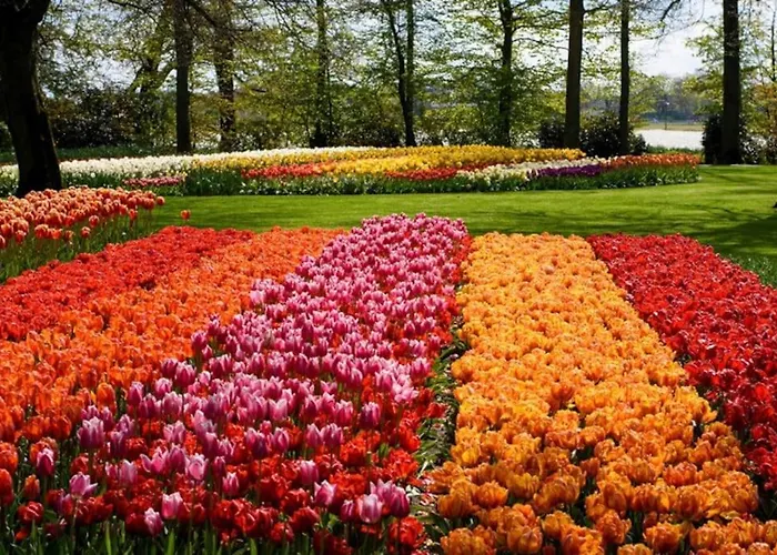 Semesterbostad Beachy Days Near Ocean & Noordwijkerhout